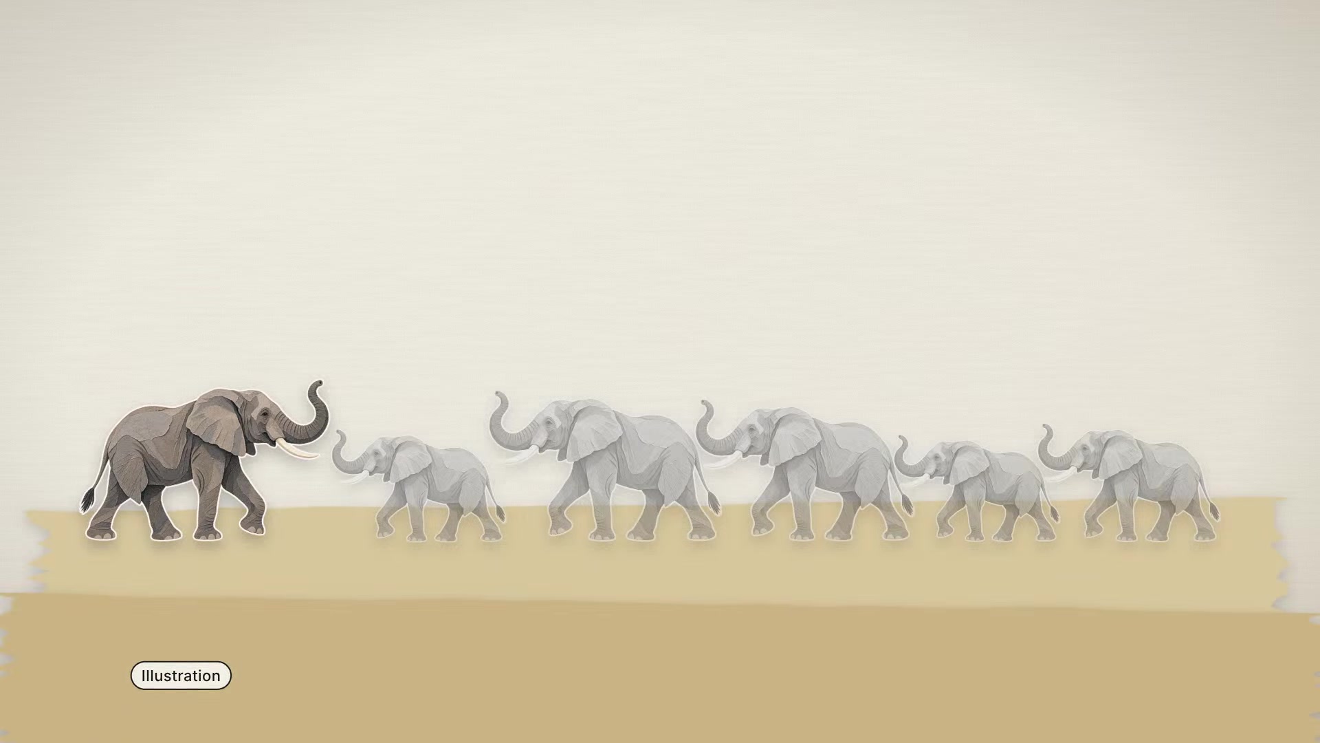 Do elephants have names?